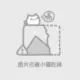 雁梦の部屋