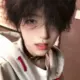 hz3317746438的头像-投影工坊