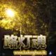 路灯魂