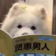 yasj_blocked的头像-投影工坊