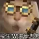 hezhanteng的头像-投影工坊