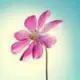 atmbb