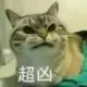 qq2354466283的头像-天机阁