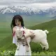 钅粼