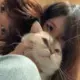 青鸟幻觉