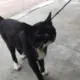网友昵称：13318026052