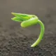 随xin远行