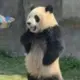 背灯和月