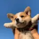 Jの故事