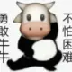 awei909的头像-投影工坊