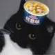 萨达