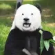 网友昵称：神奇的老虎