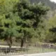 东北云野的头像-投影工坊