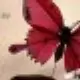 bbbbteiy
