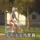 废旧手机换不锈钢盆