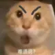 随便玩玩的头像-天机阁