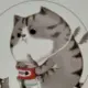 匿名