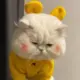 意酱