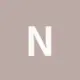 nianjing