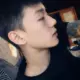longyu520的头像-投影工坊