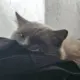 jkjgfvv