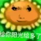 10s长视频的头像-投影工坊