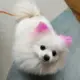 三月七的头像-天机阁