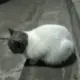 12345675