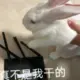 Ccstate的头像-投影工坊