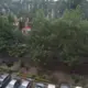 谁主沉浮