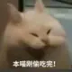 jakeoob的头像-投影工坊