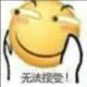 quitianDADA的头像-投影工坊