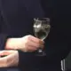 林音oba