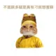 litetew的头像-投影工坊