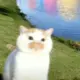 人间杀妈客