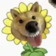 盯帧的头像-投影工坊