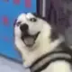 5027