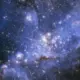 韶舞的头像-天机阁