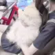 ShenYuan_HS的头像-投影工坊