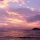 、yhy的头像-投影工坊