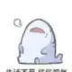 困南风的头像-天机阁
