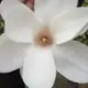 7758258