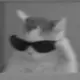 yyy