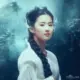 千山不厌