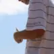 诚谙