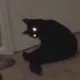 树树、