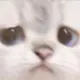 2733936350