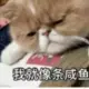 峰峰's wechat