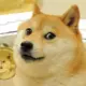 aaaaaa