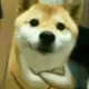咕咕咕